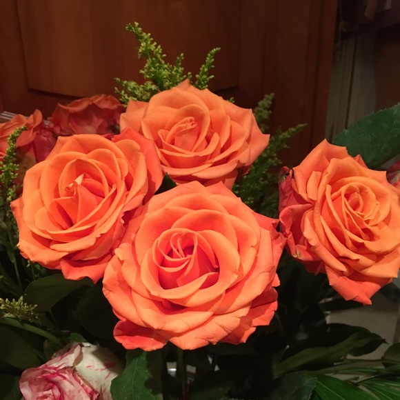 Meet your Posher, Kathleen - Picture 1 of 1